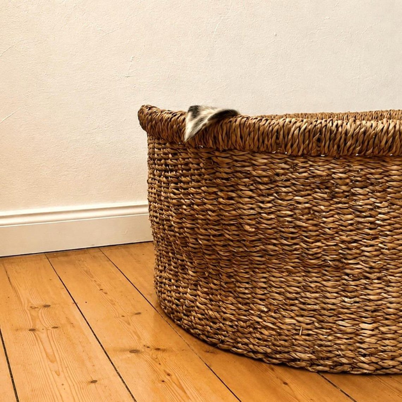 Seagrass Dog Bed with Cushion.