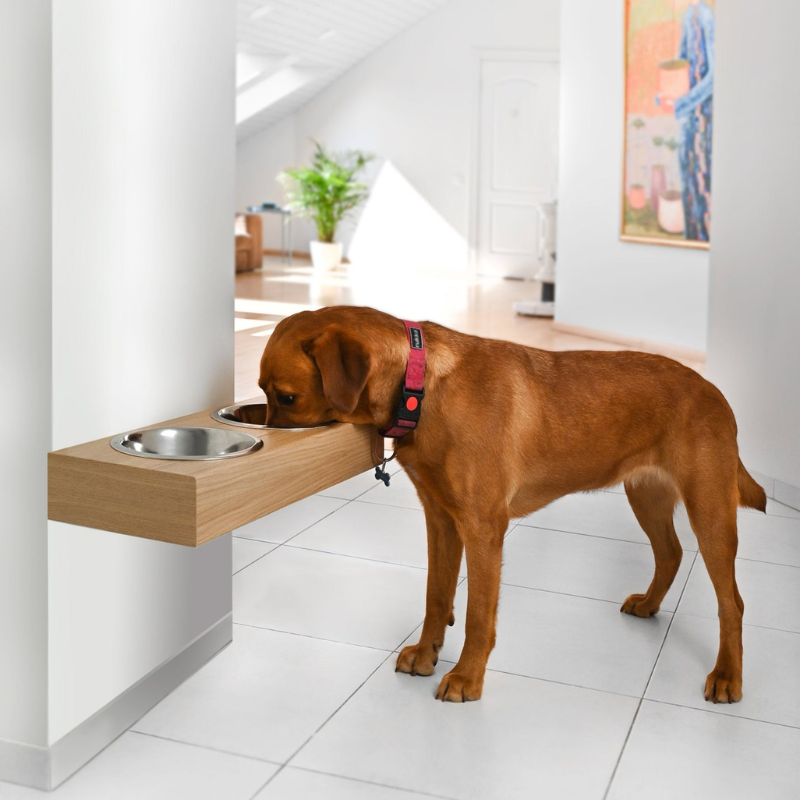 Wall Mounted Wooden Dog Bowl Stand.