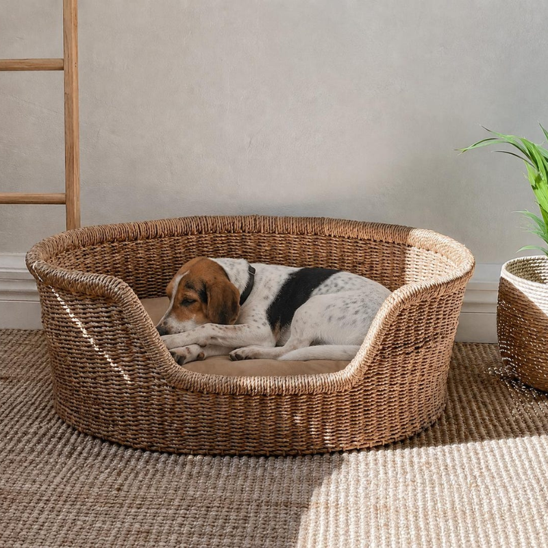 Seagrass Dog Bed with Cushion.
