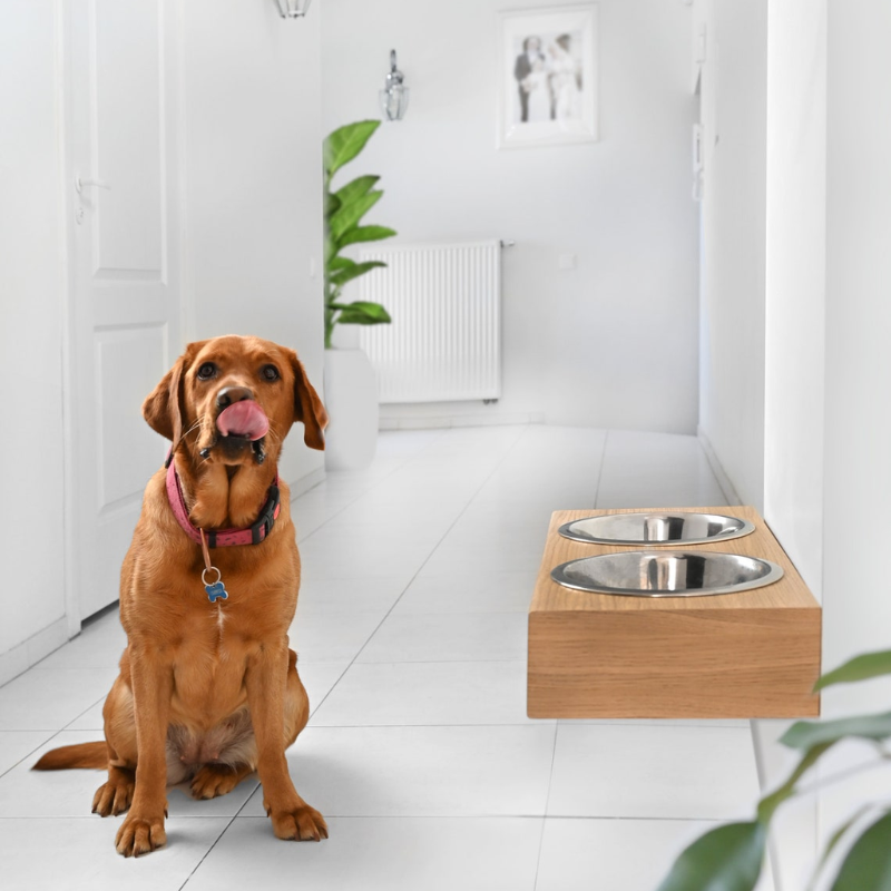 Wall Mounted Wooden Dog Bowl Stand.