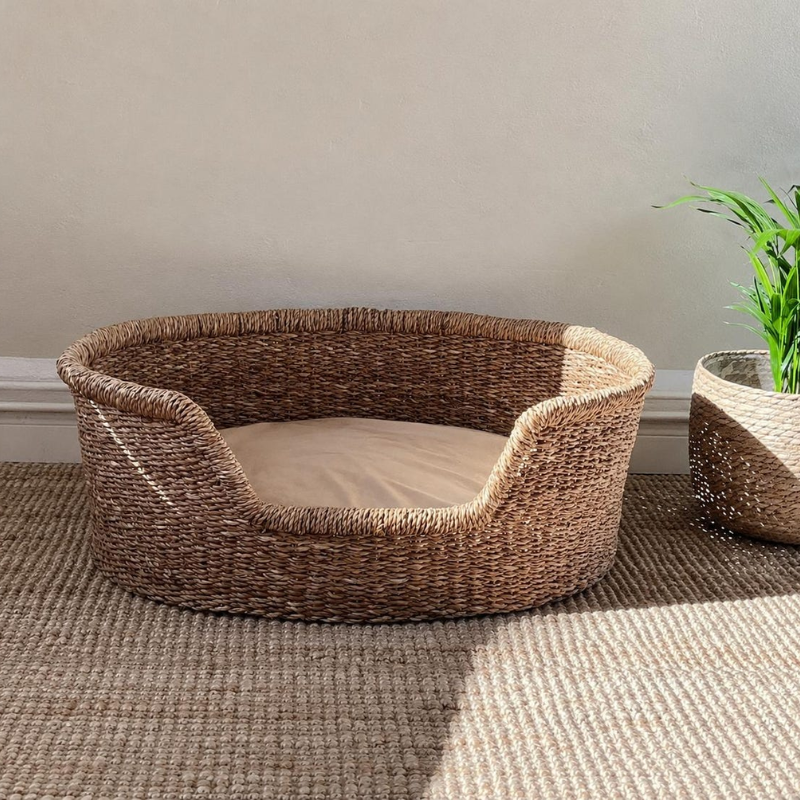 Seagrass Dog Bed with Cushion.