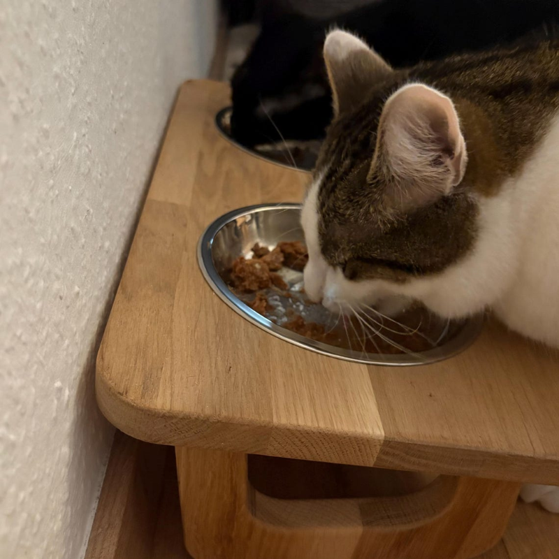 Elevated Oak Cat Feeding Station.