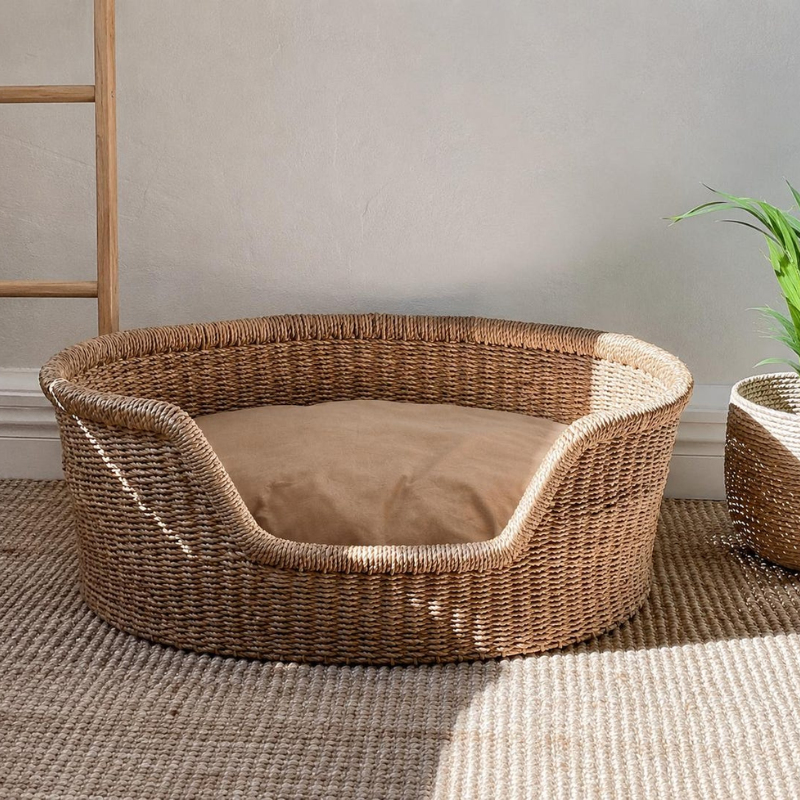 Seagrass Dog Bed with Cushion.